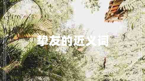 摯友的近義詞