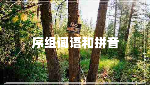 序組詞語和拼音