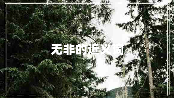 無非的近義詞