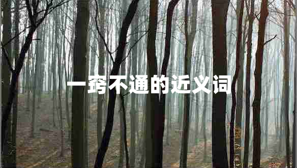 一竅不通的近義詞