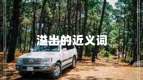 溢出的近義詞