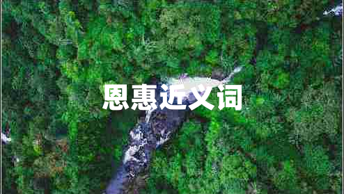 恩惠近義詞