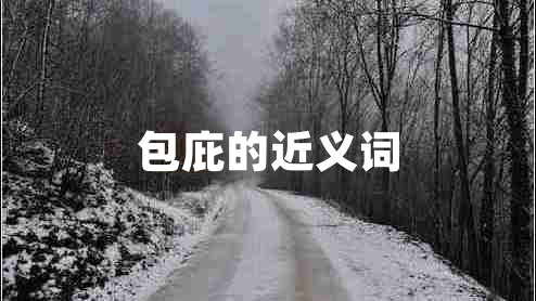 包庇的近義詞