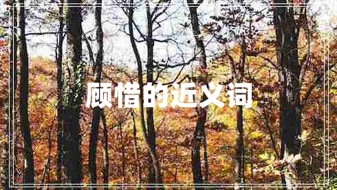 顧惜的近義詞