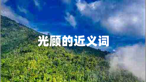 光顧的近義詞