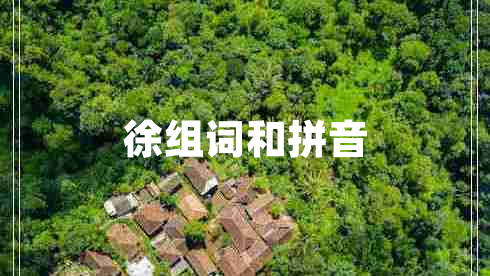 徐組詞和拼音