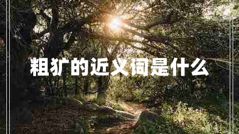 粗獷的近義詞是什么