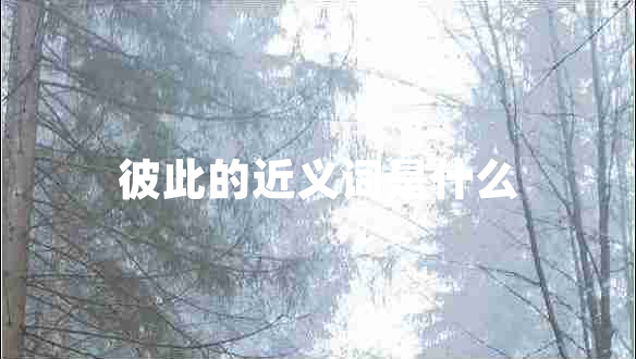 彼此的近義詞是什么