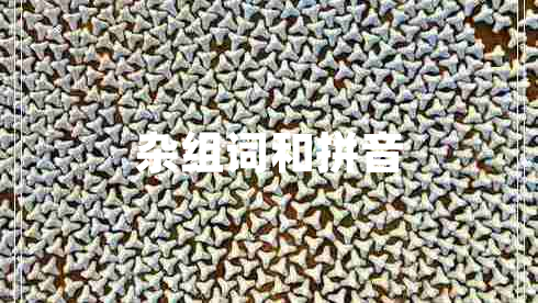 雜組詞和拼音