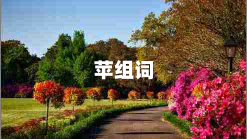 蘋(píng)組詞