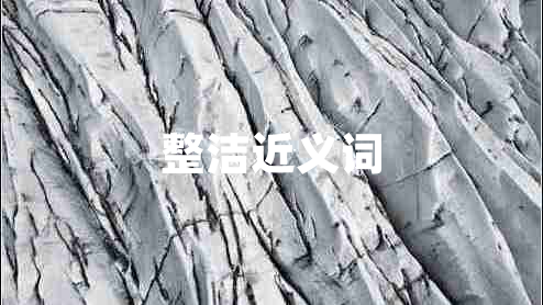 整潔近義詞