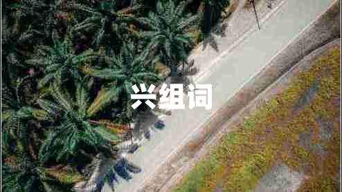 興組詞