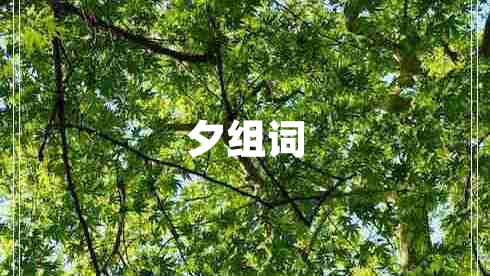 夕組詞