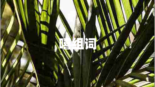 嘻組詞