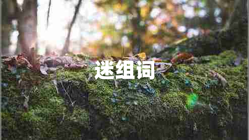 迷組詞