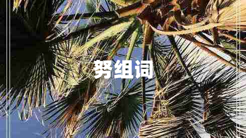 努組詞