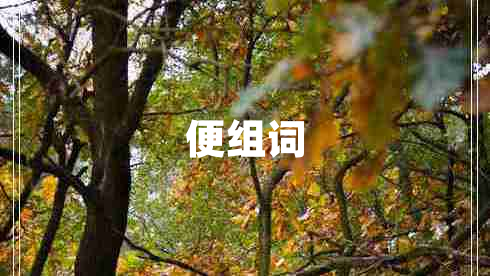 便組詞