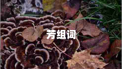 芳組詞