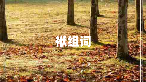 袱組詞