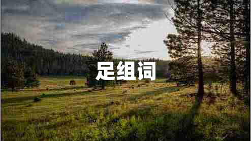 足組詞