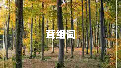 茸組詞