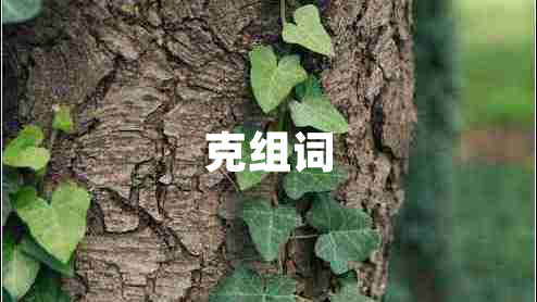 克組詞