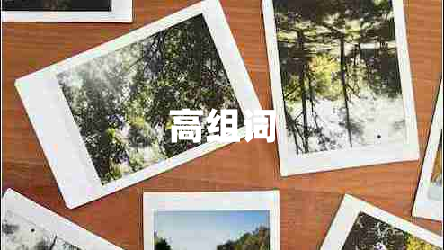 高組詞