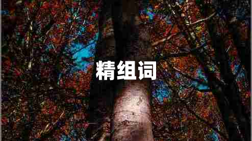 精組詞