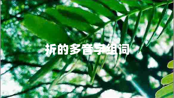 折的多音字組詞