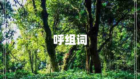 呼組詞