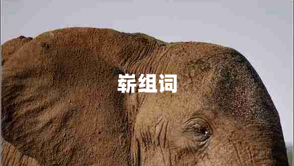 嶄組詞
