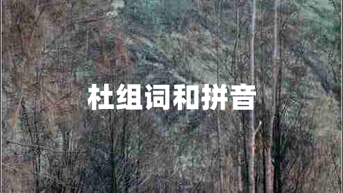 杜組詞和拼音
