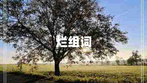 爛組詞