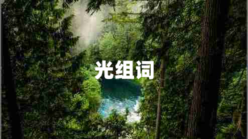 光組詞
