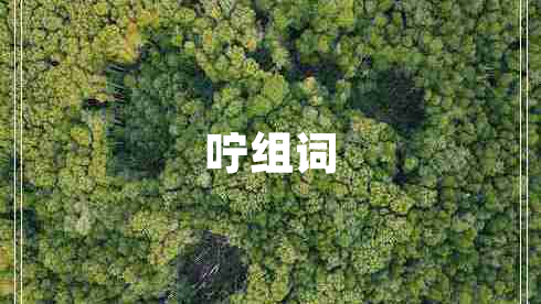 嚀組詞