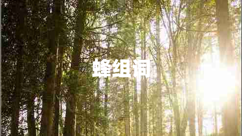 蜂組詞