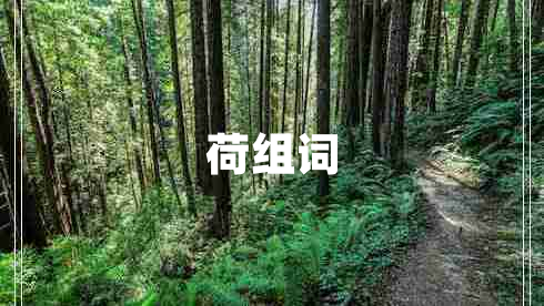 荷組詞