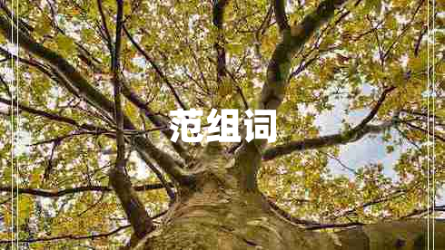 范組詞