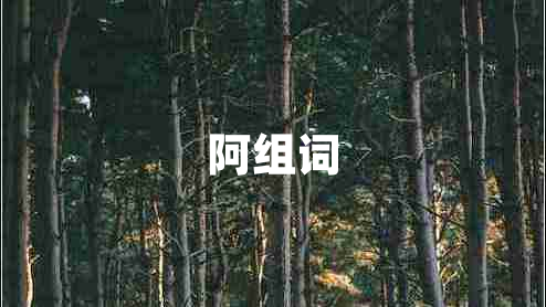 阿組詞