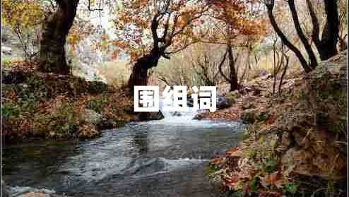 圍組詞
