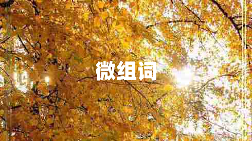 微組詞