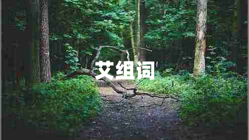 艾組詞