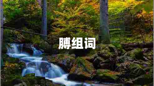 膊組詞