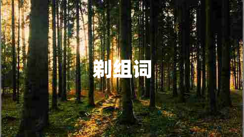 剃組詞