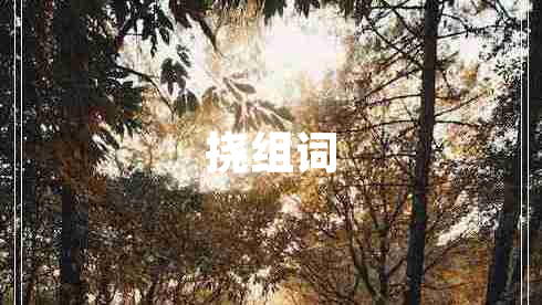 撓組詞