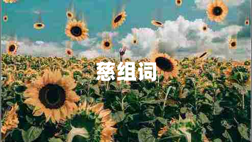 慈組詞