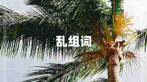 亂組詞