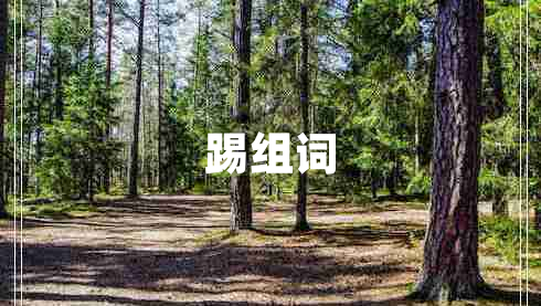 踢組詞