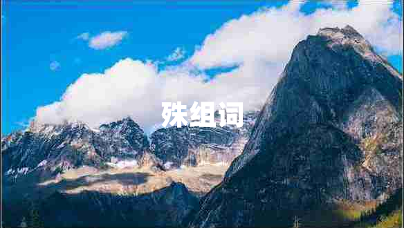 殊組詞