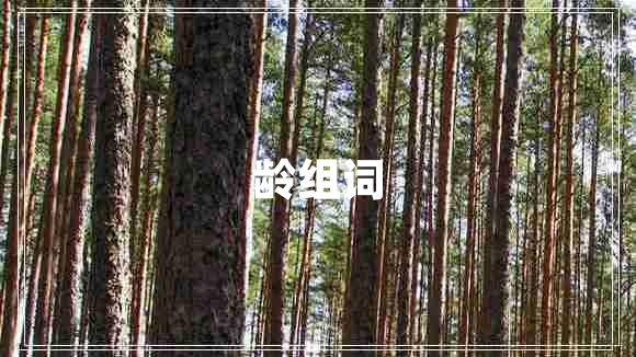 齡組詞